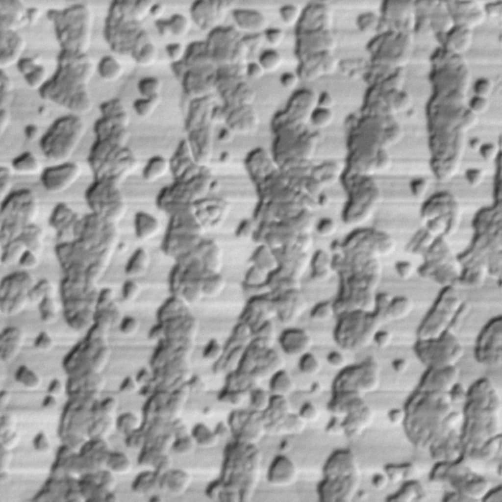 MOCVD MoS₂ grown at 1000 °C on c-plane sapphire, AFM topography (5 µm field)